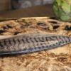 Shime Saba  (Cured Mackerel) - Image 2