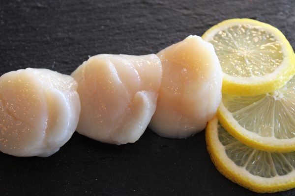 Sushi Scallop