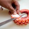 Tako Leg  (Octopus Leg) - Image 5